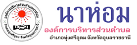 องค์การบริหารส่วนตำบลนาห่อม